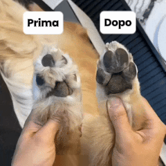 Nestoxa® PawBlade Pro - Trimmer di Precisione Professionale per Animali Domestici