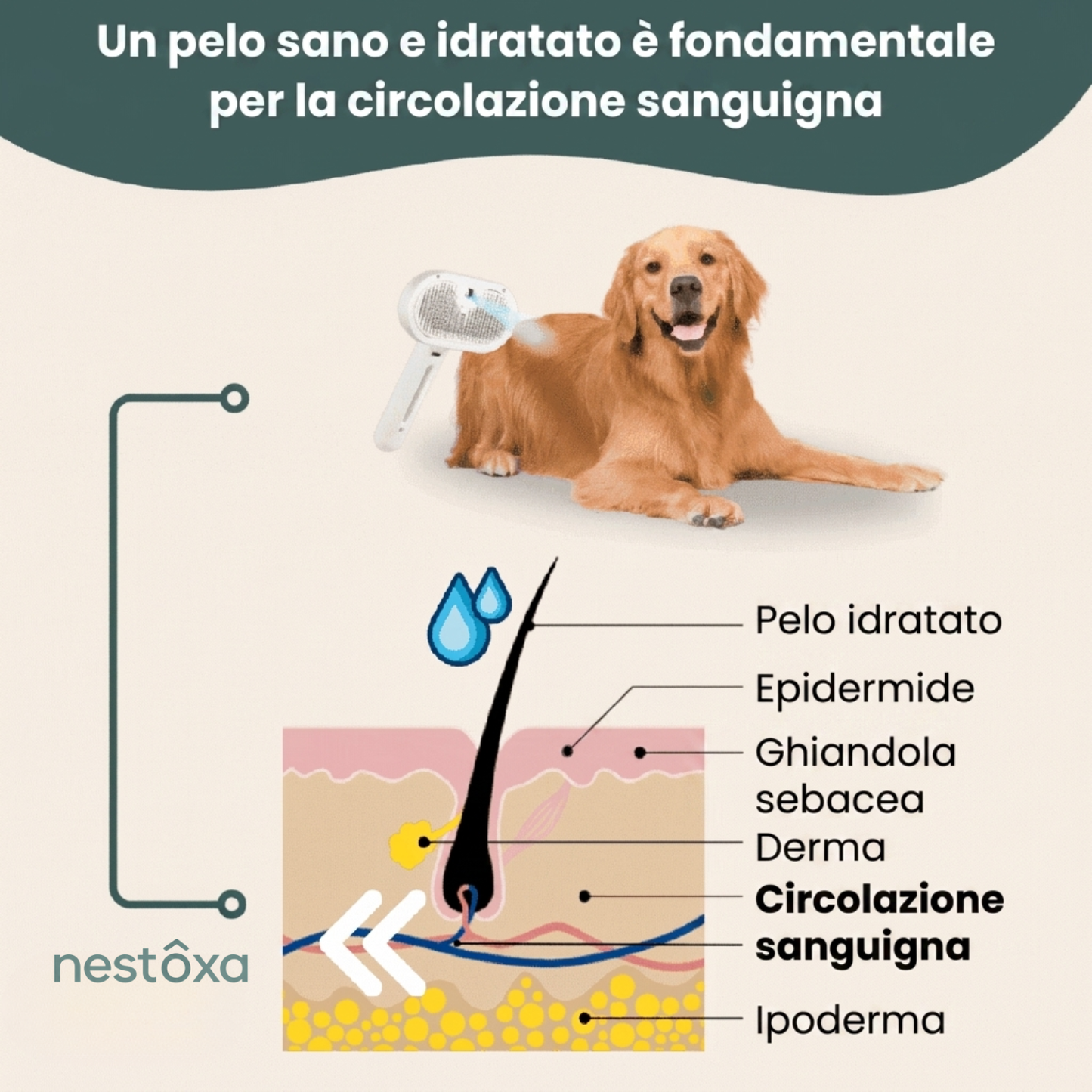 Nestoxa® Vapore Pro | Spazzola Professionale per la Cura del Pelo degli Animali