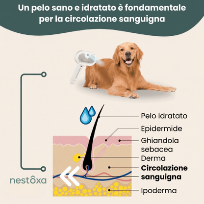 Nestoxa® Vapore Pro | Spazzola Professionale per la Cura del Pelo degli Animali