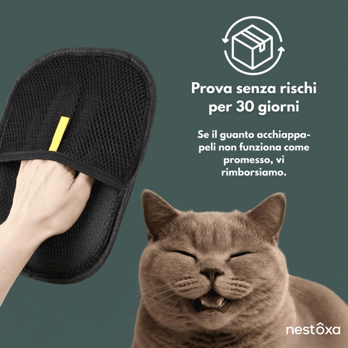 Guanto acchiappapeli
