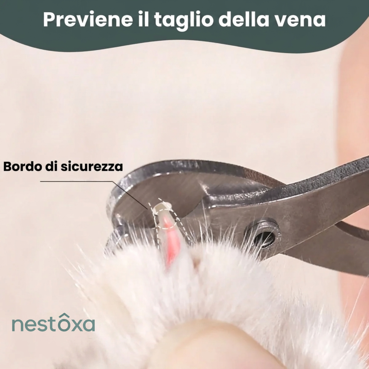 Forbici per Unghie Sicure