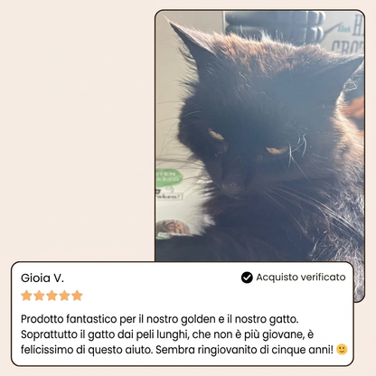 Nestoxa® Vapore Pro | Spazzola Professionale per la Cura del Pelo degli Animali