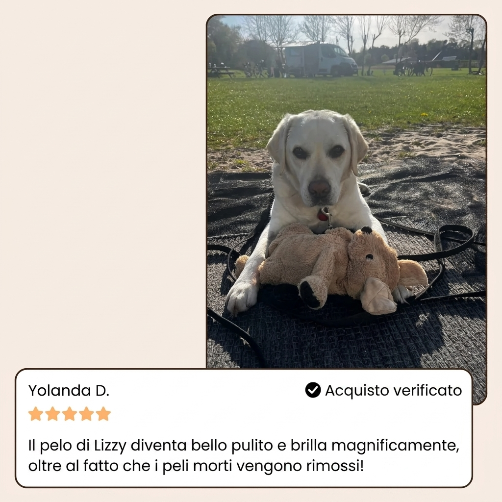 Nestoxa® Vapore Pro | Spazzola Professionale per la Cura del Pelo degli Animali
