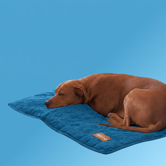 Nestoxa Tappetino Rinfrescante per Cani 2.0 ( 1+1 )