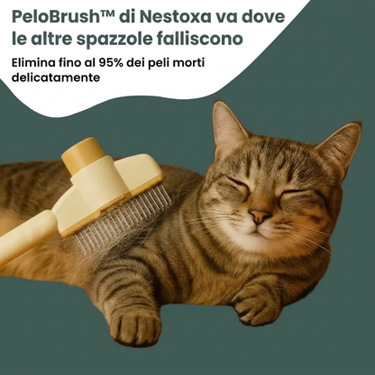 PeloBrush™ – Brosse anti-poils morts