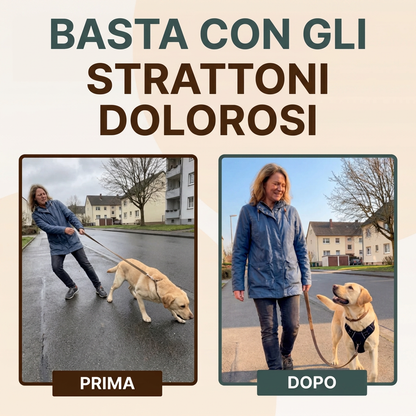 Imbracatura Anti-Tiro