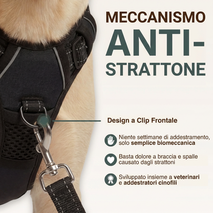 Imbracatura Anti-Tiro