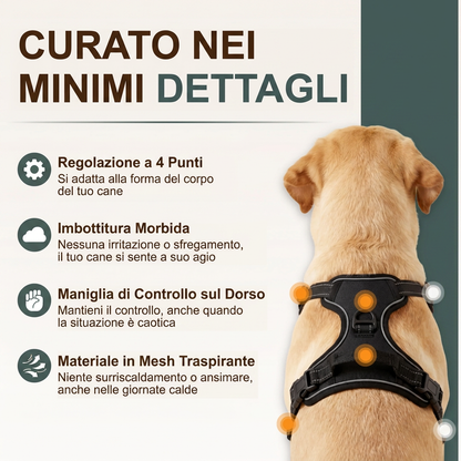 Imbracatura Anti-Tiro