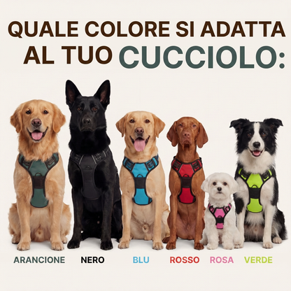 Imbracatura Anti-Tiro