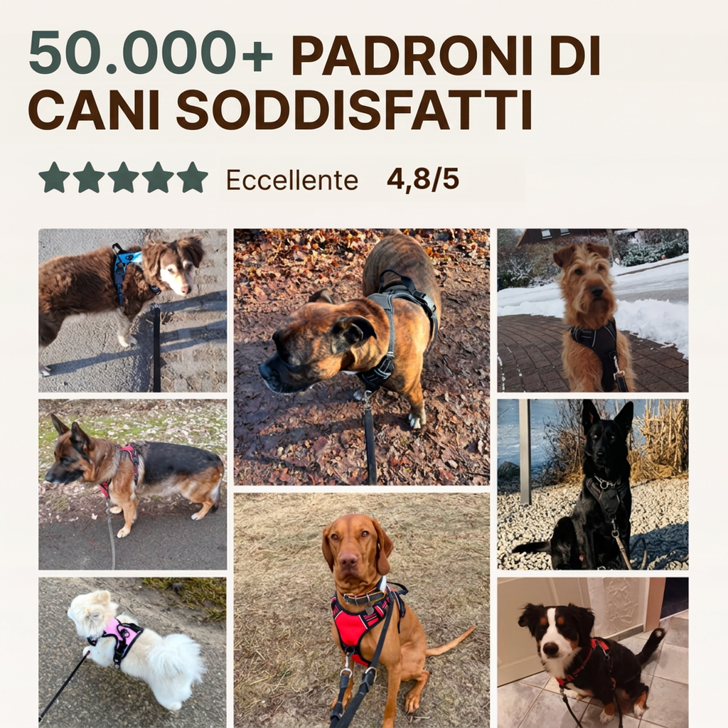 Imbracatura Anti-Tiro
