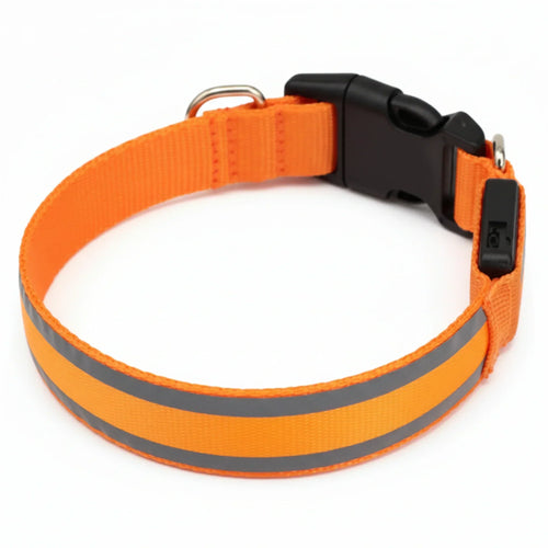 Nestoxa™ Collare Luminoso
